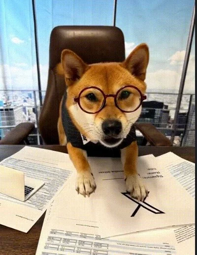 X CEO Flōki — The Shiba CEO